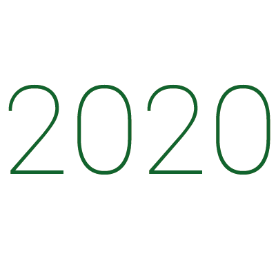2020 icon2