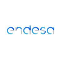 endesa new